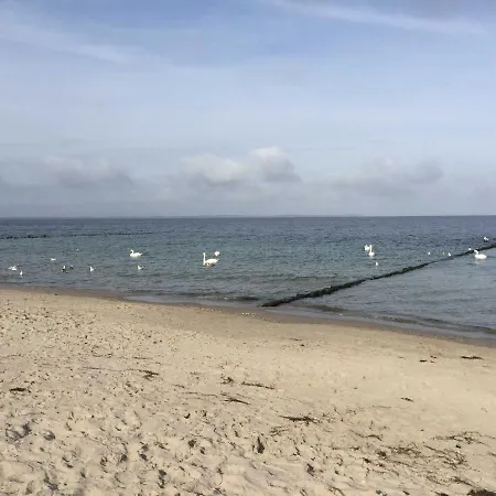Leuchtturm Сasa de vacaciones *